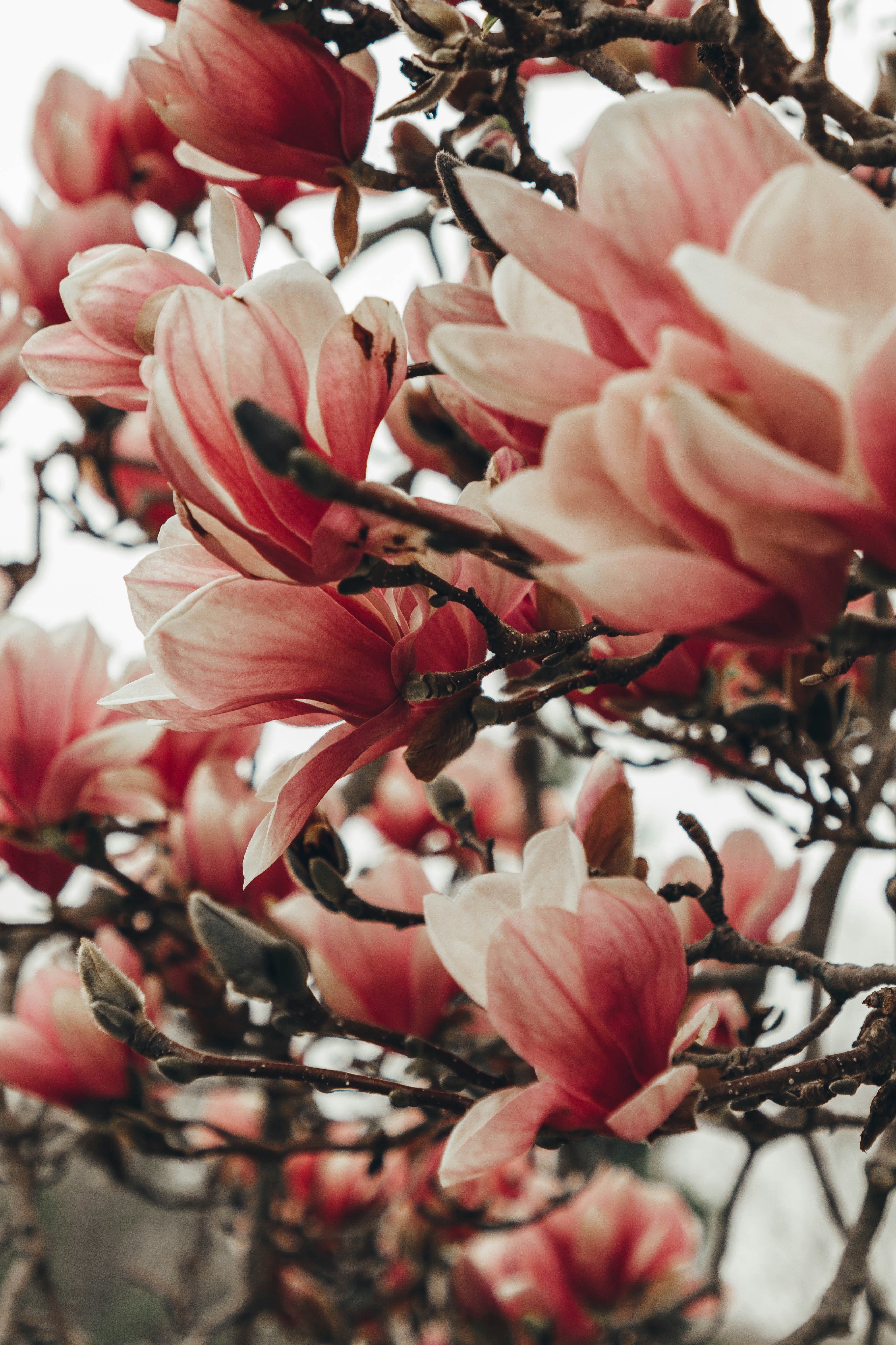 Photo by liubovilchuk