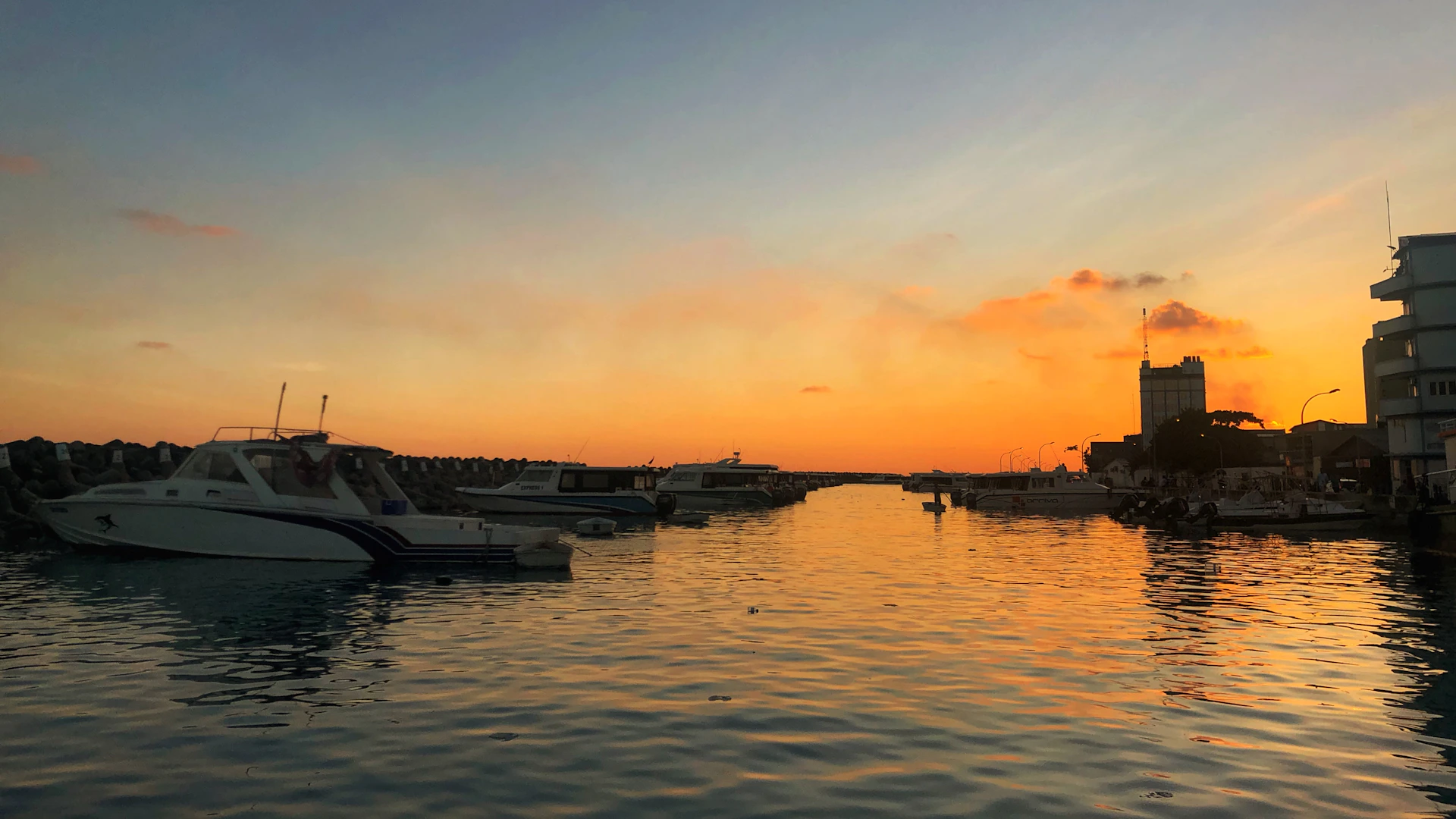 gray computer monitor