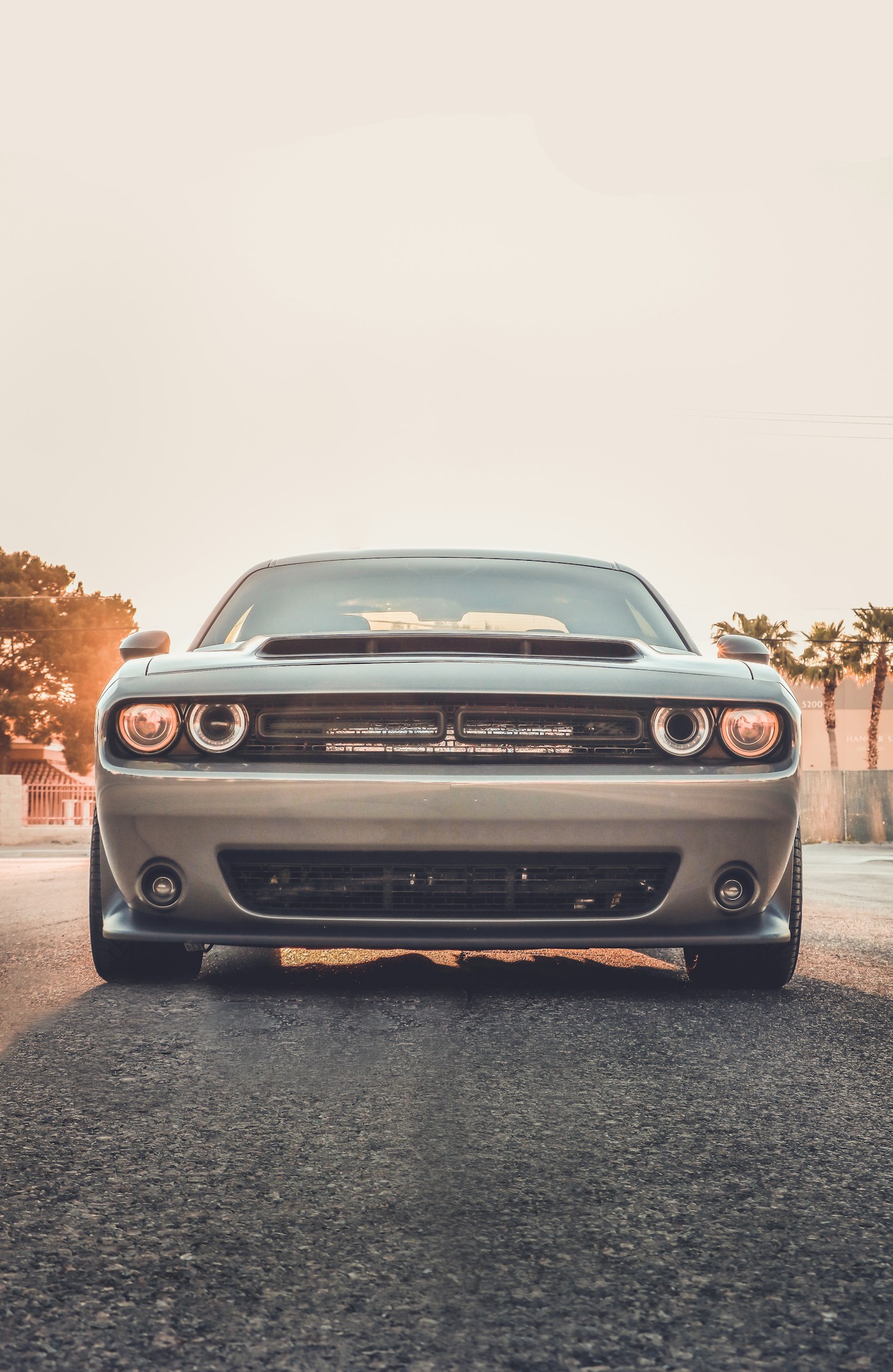Gray Pickup Truck