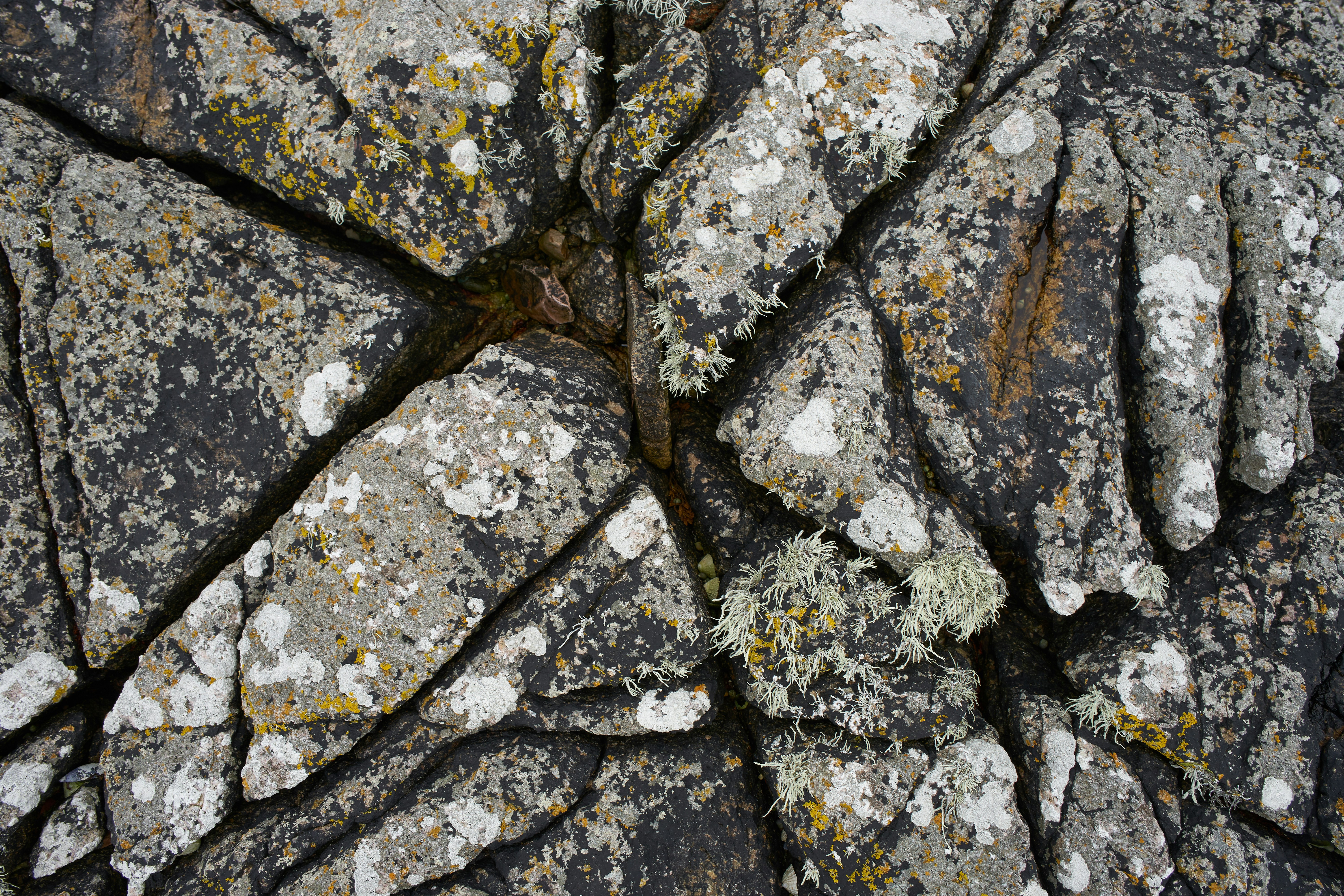 Photo by wolfgang_hasselmann