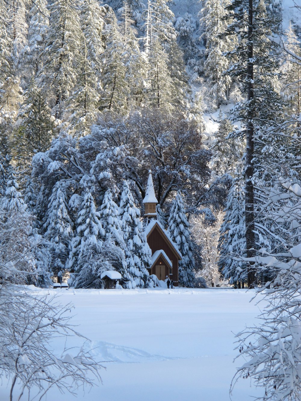house on snow surround with pine trees