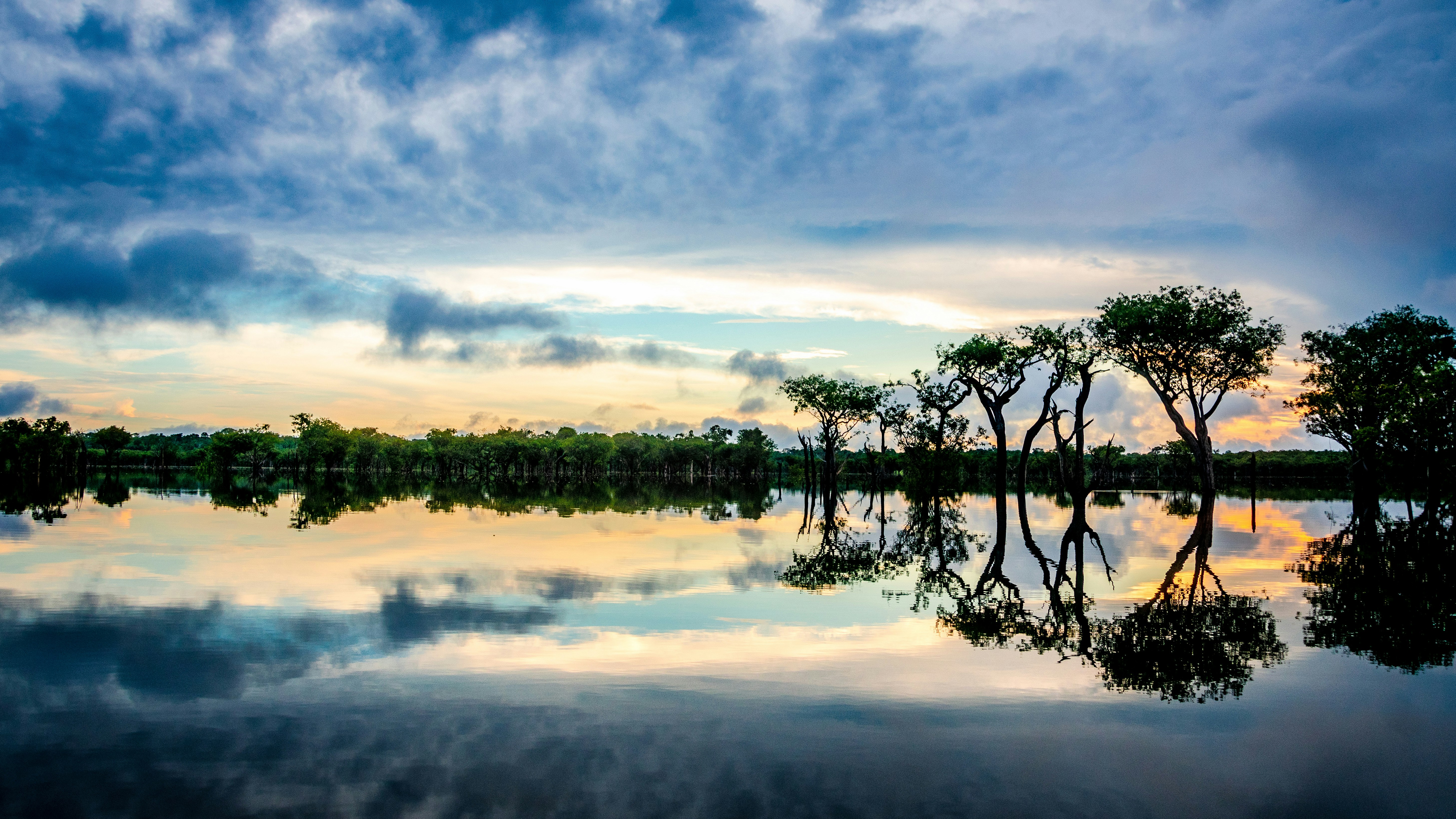 reflection on trees on clear body of water during sunset