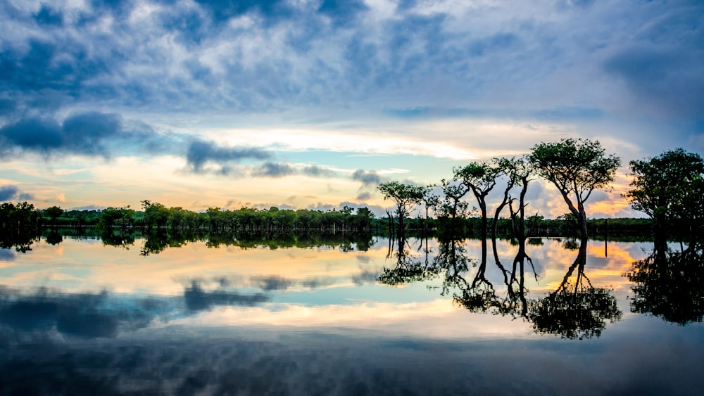 reflection on trees on clear body of water during sunset