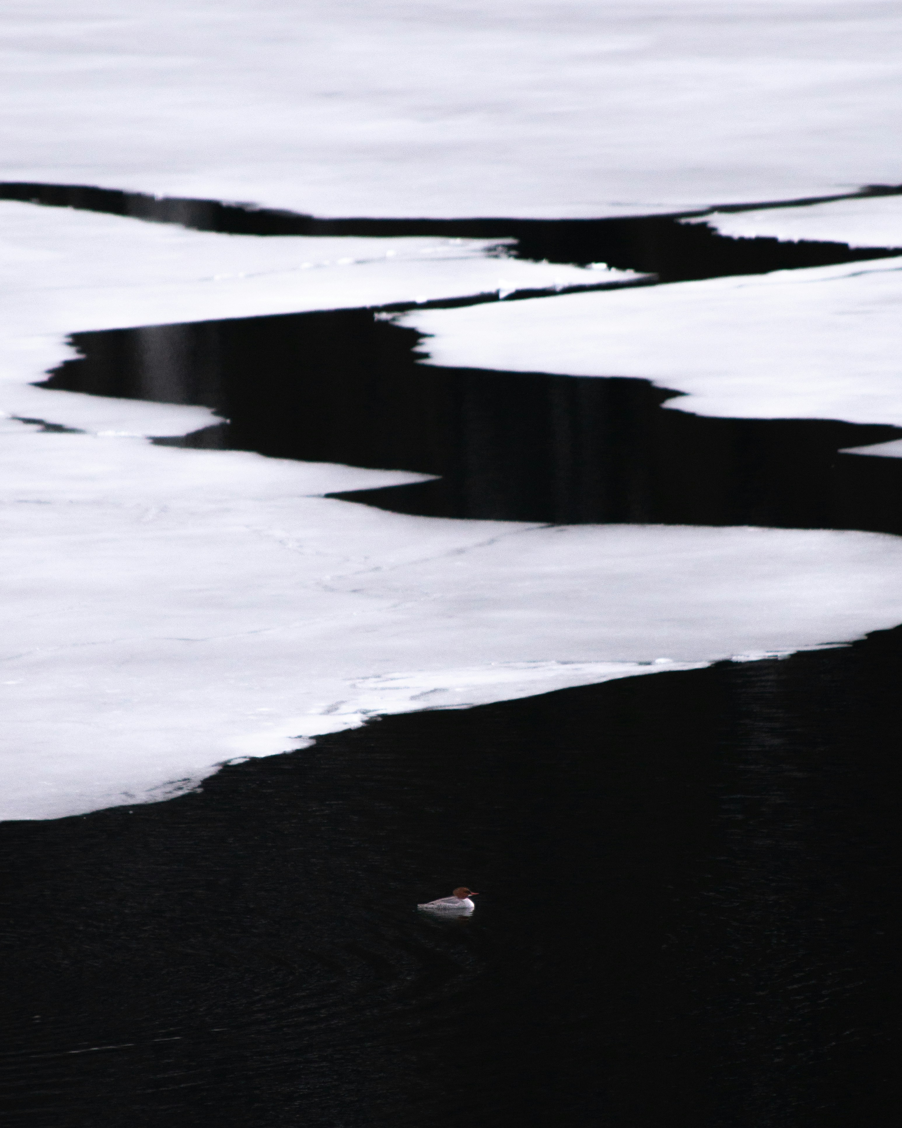 Photo by josiahgardner