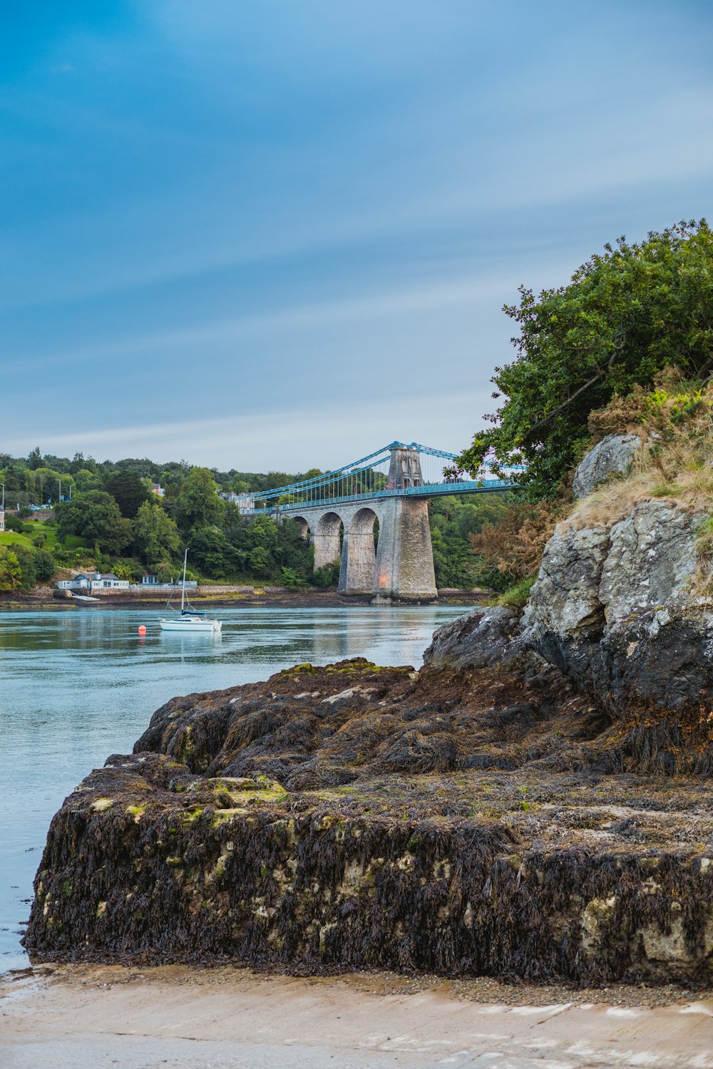 a bridge over a body of water next to a lush green forest