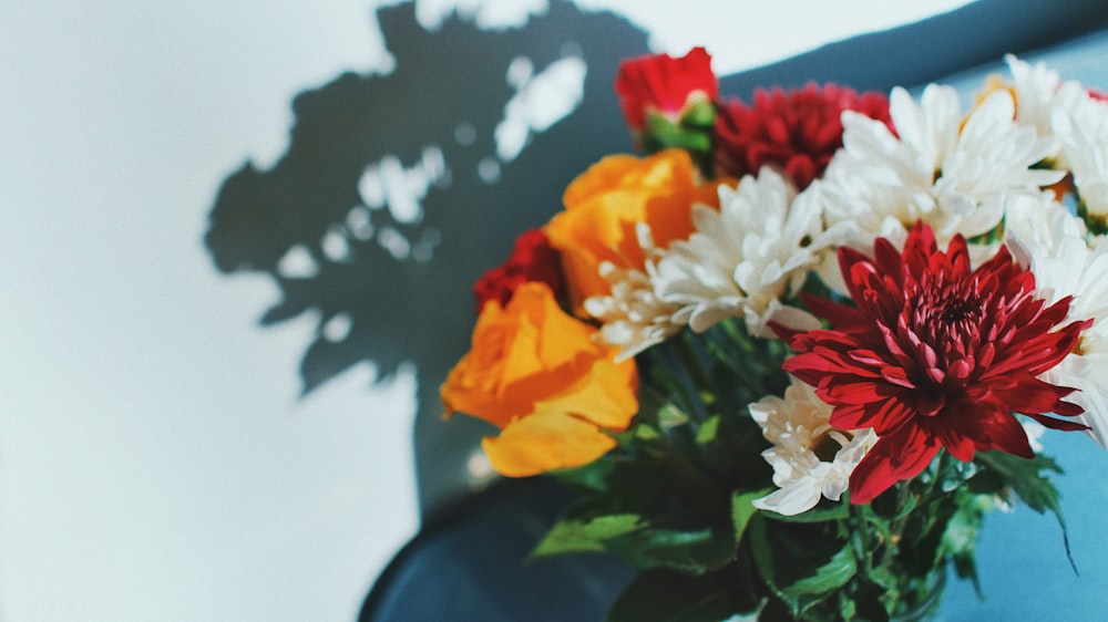 white, red and yellow flowers