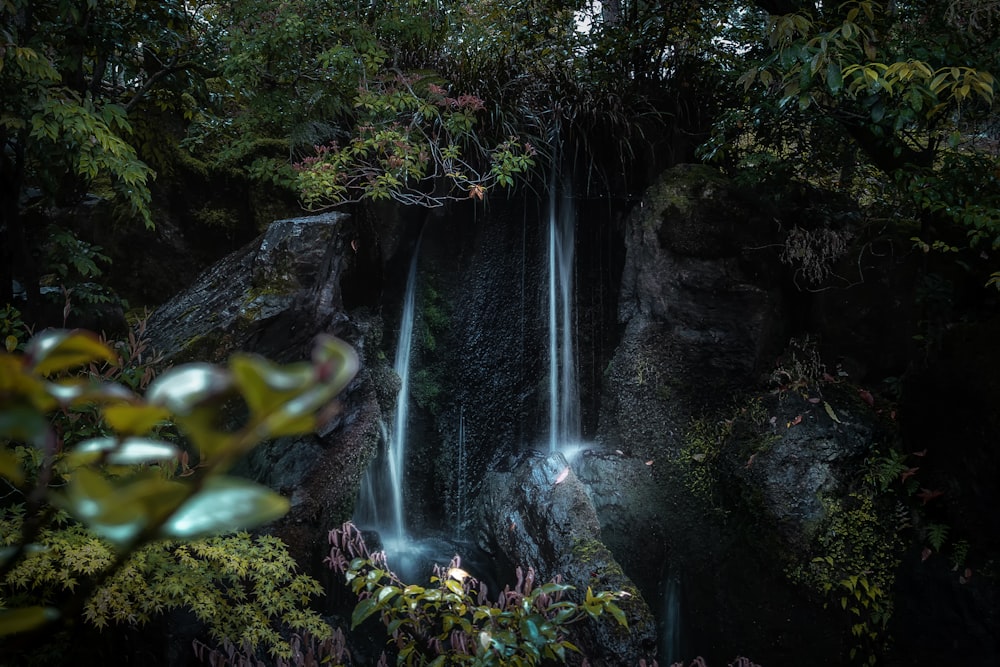 waterfall near trees