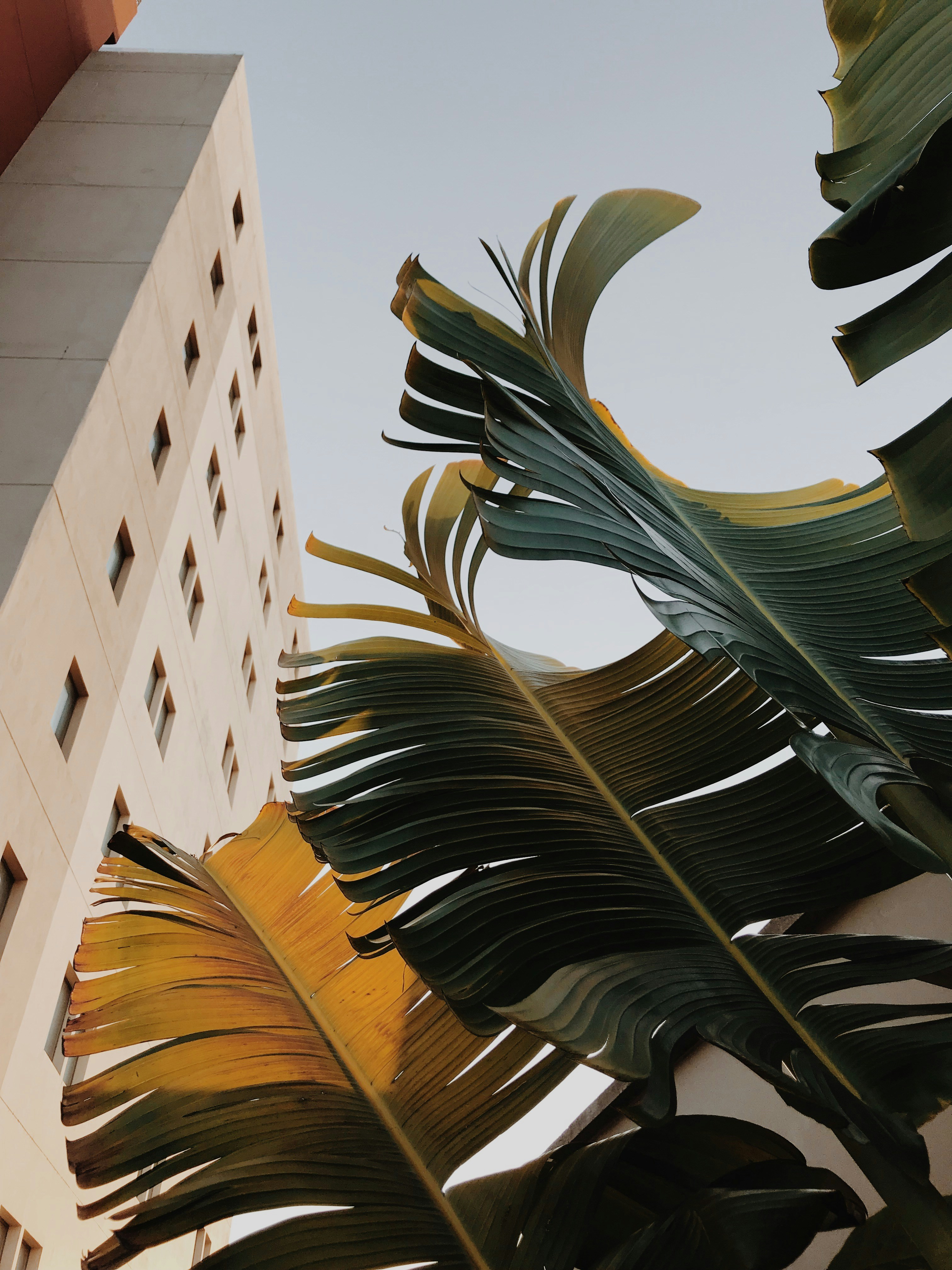 Photo by brandonmartinelli