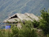 A rural thatched-roof hut is nestled among lush green foliage, with a mountainous backdrop covered in verdant vegetation. The structure is partially obscured by the surrounding greenery, giving it a secluded appearance. A blue tarpaulin is draped over one side of the building.