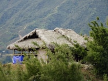 A rural thatched-roof hut is nestled among lush green foliage, with a mountainous backdrop covered in verdant vegetation. The structure is partially obscured by the surrounding greenery, giving it a secluded appearance. A blue tarpaulin is draped over one side of the building.