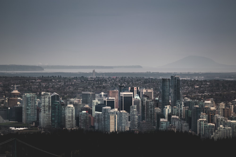 city skyline photography