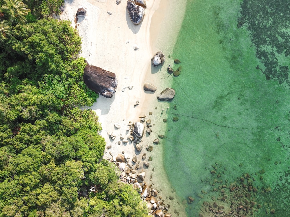 aerial view photography of rocky shore