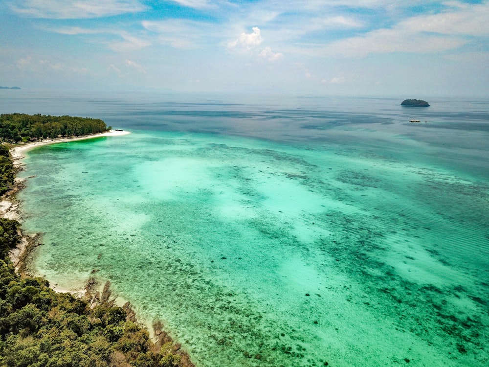 aerial photography of green body of water