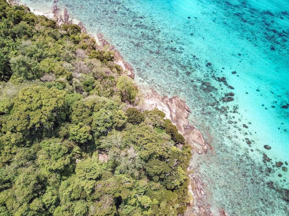 海近くの木々が生い茂る島の航空写真