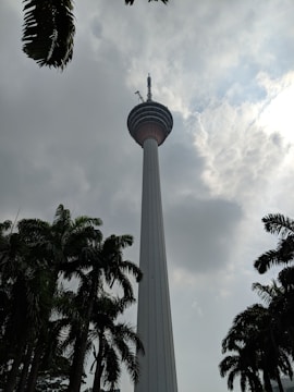 A tall telecommunications tower rises into a cloudy sky, surrounded by lush green palm trees at its base. The tower has a bulbous observation deck near the top and is topped with an antenna.