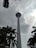 A tall telecommunications tower rises into a cloudy sky, surrounded by lush green palm trees at its base. The tower has a bulbous observation deck near the top and is topped with an antenna.