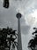 A tall telecommunications tower rises into a cloudy sky, surrounded by lush green palm trees at its base. The tower has a bulbous observation deck near the top and is topped with an antenna.