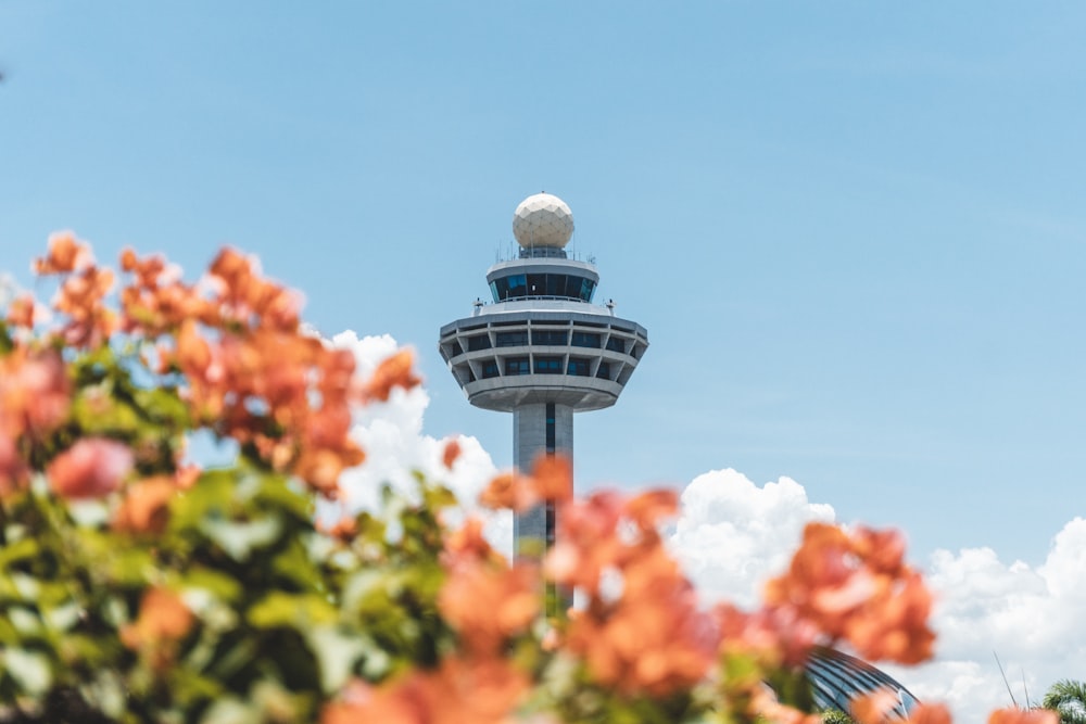 CN Tower