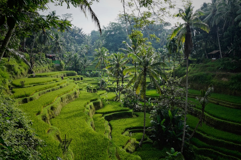 Denpasar Barat