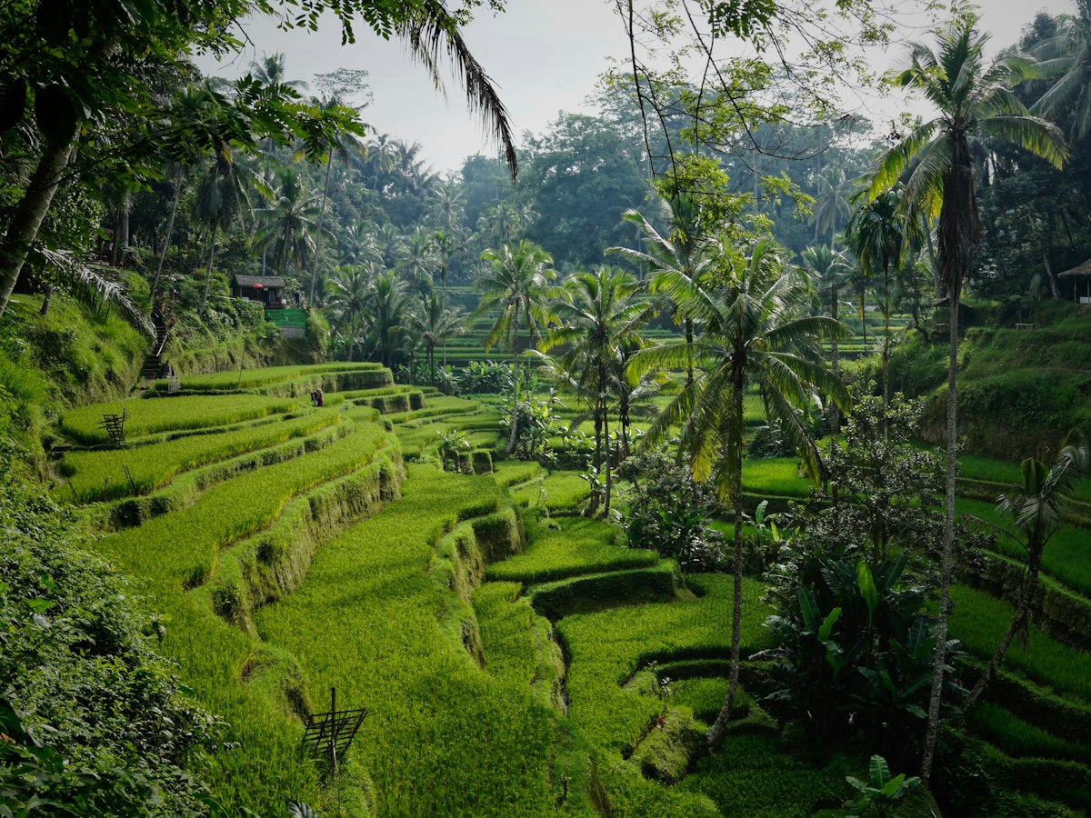 E-book Bali — Carnet de route