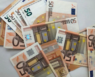 50 euro banknote lot on white surface