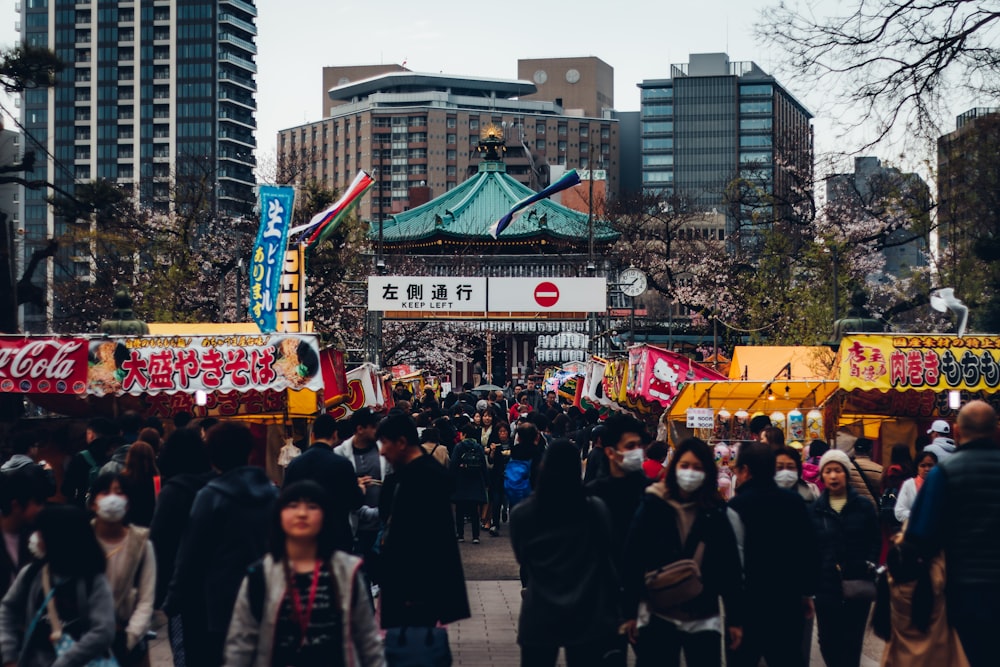 people standing in park during daytime