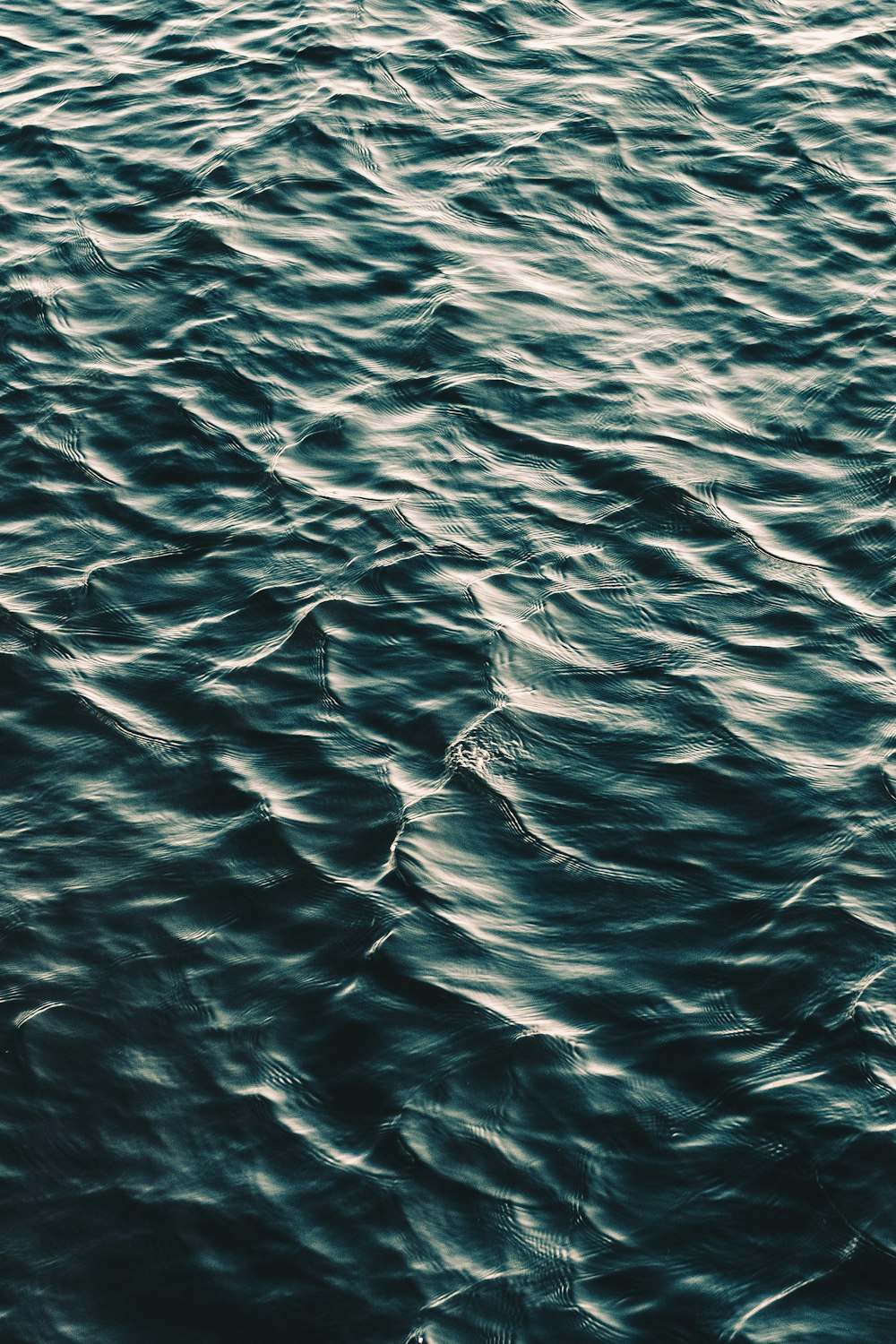 500+ Blue Water Pictures [HD]  Download Free Images on Unsplash