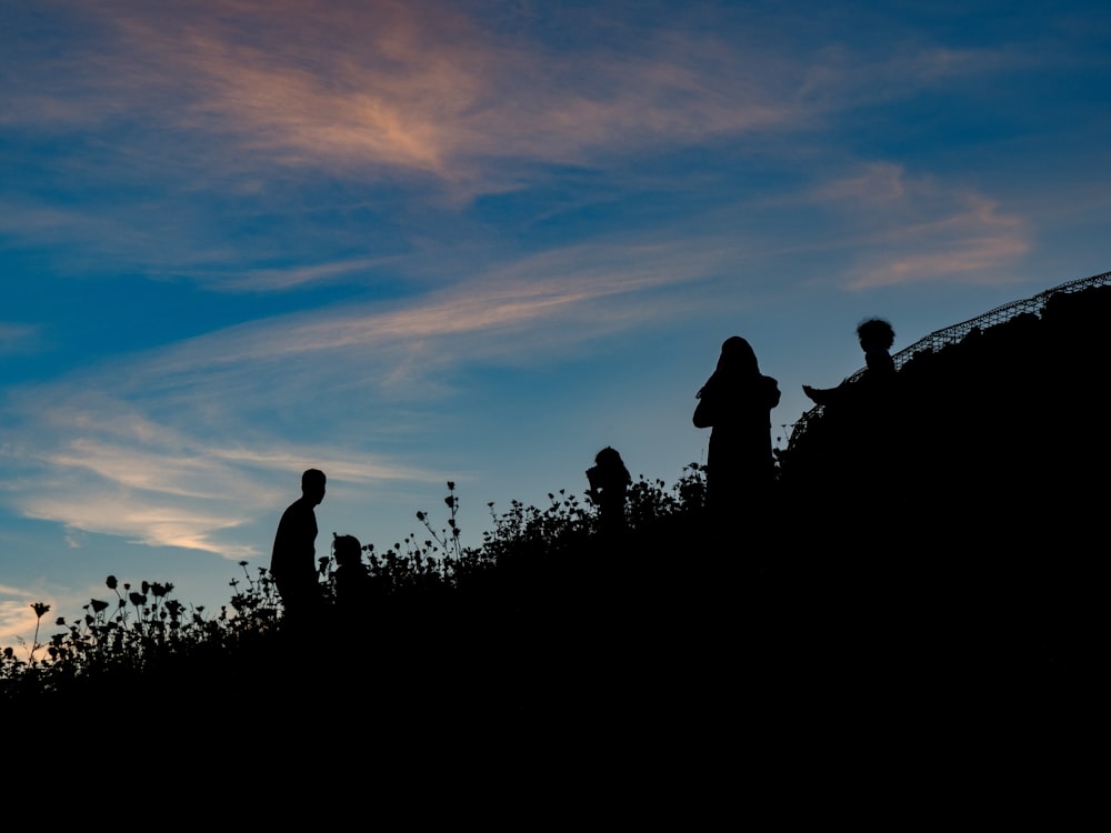 silhouette of people