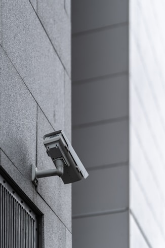 gray surveillance camera