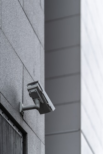 gray surveillance camera