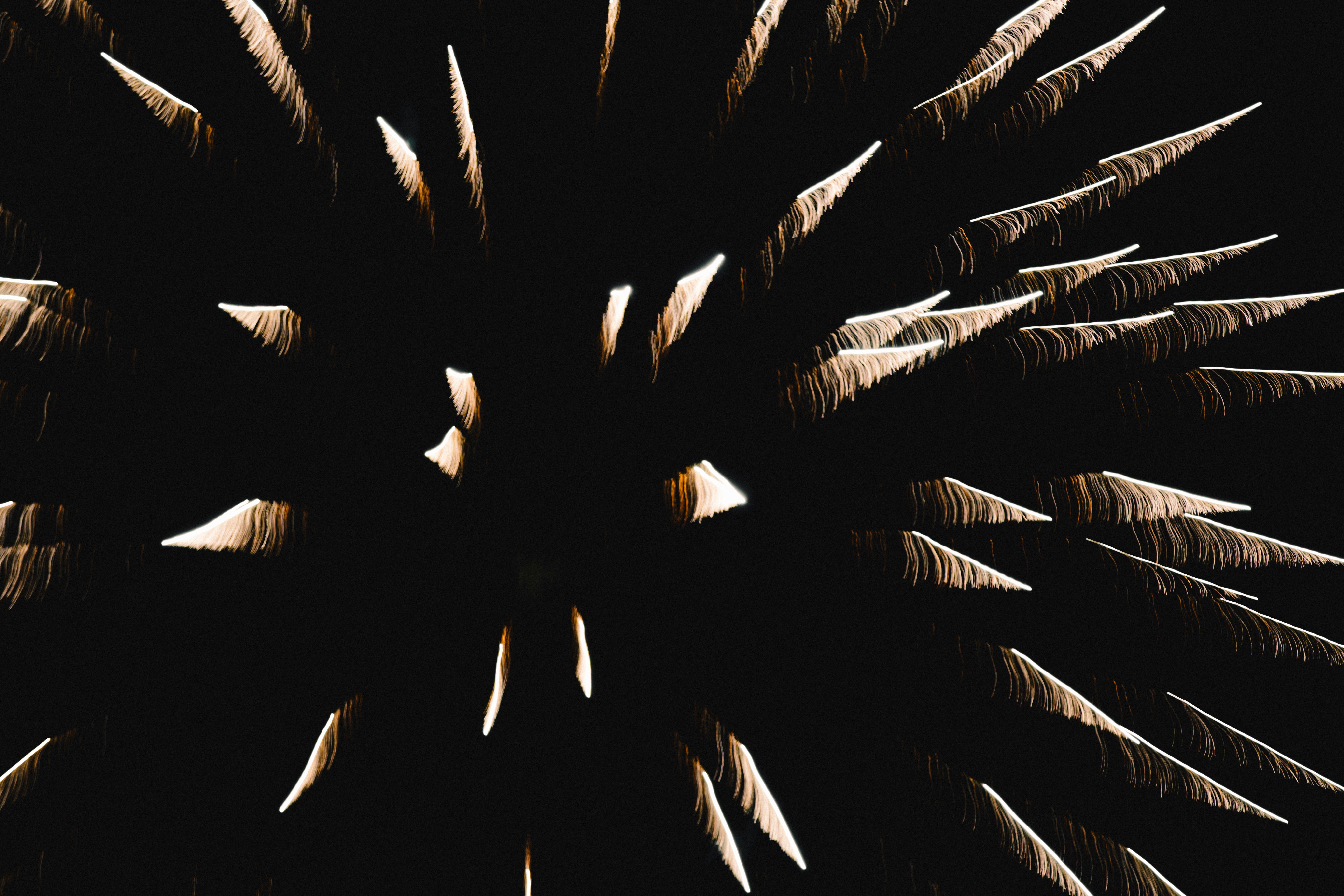 Black and white fireworks