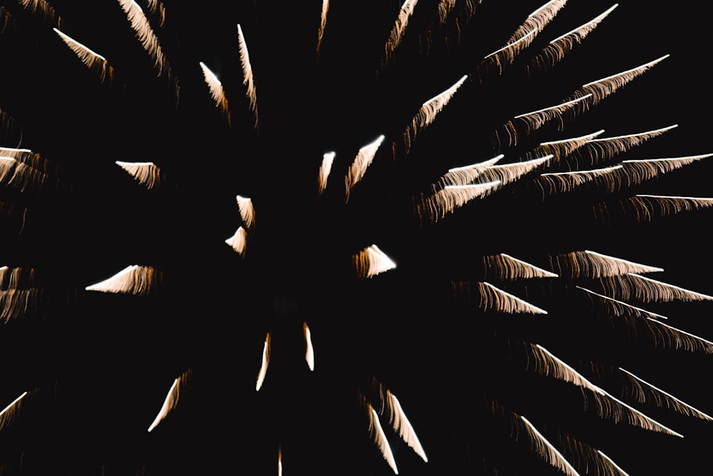 a black and white photo of a fireworks display