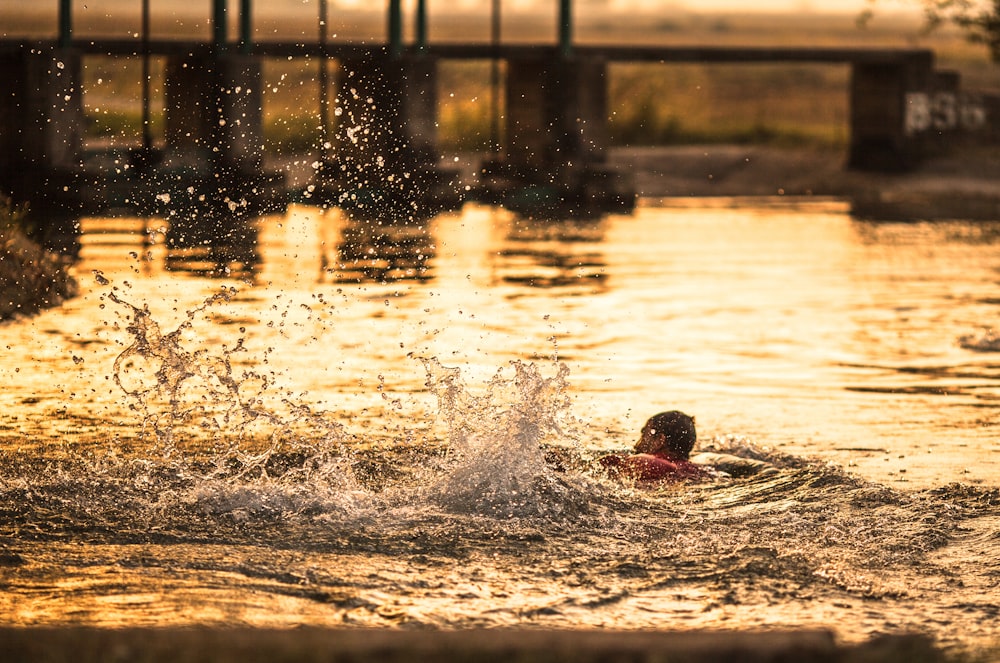 person swimming at water