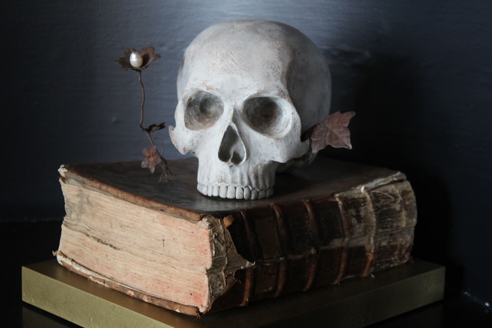 a white skull sitting on top of a book