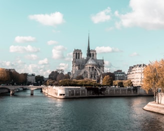 cathédrale Notre Dame