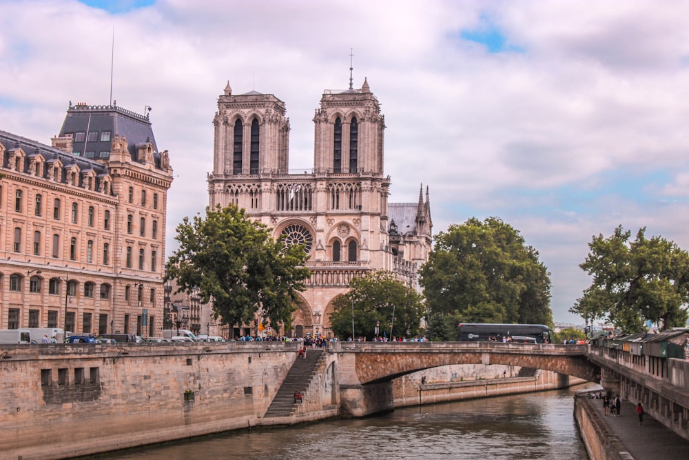 Bâtiment en béton gris près d’arbres verts pendant la journée