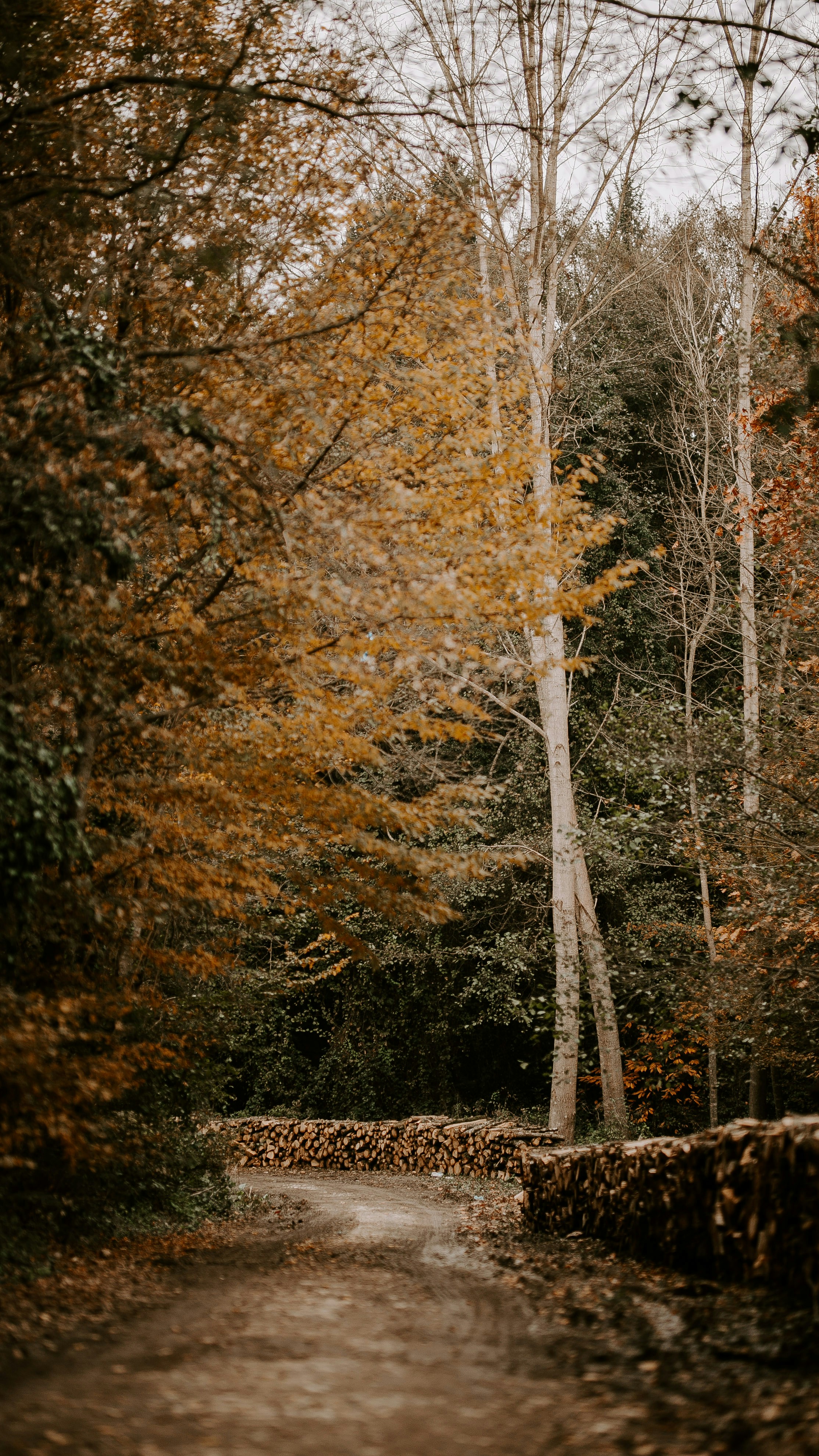 Photo by kayrasercan