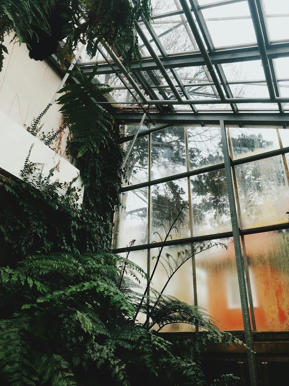 the inside of a building with a lot of plants growing on it