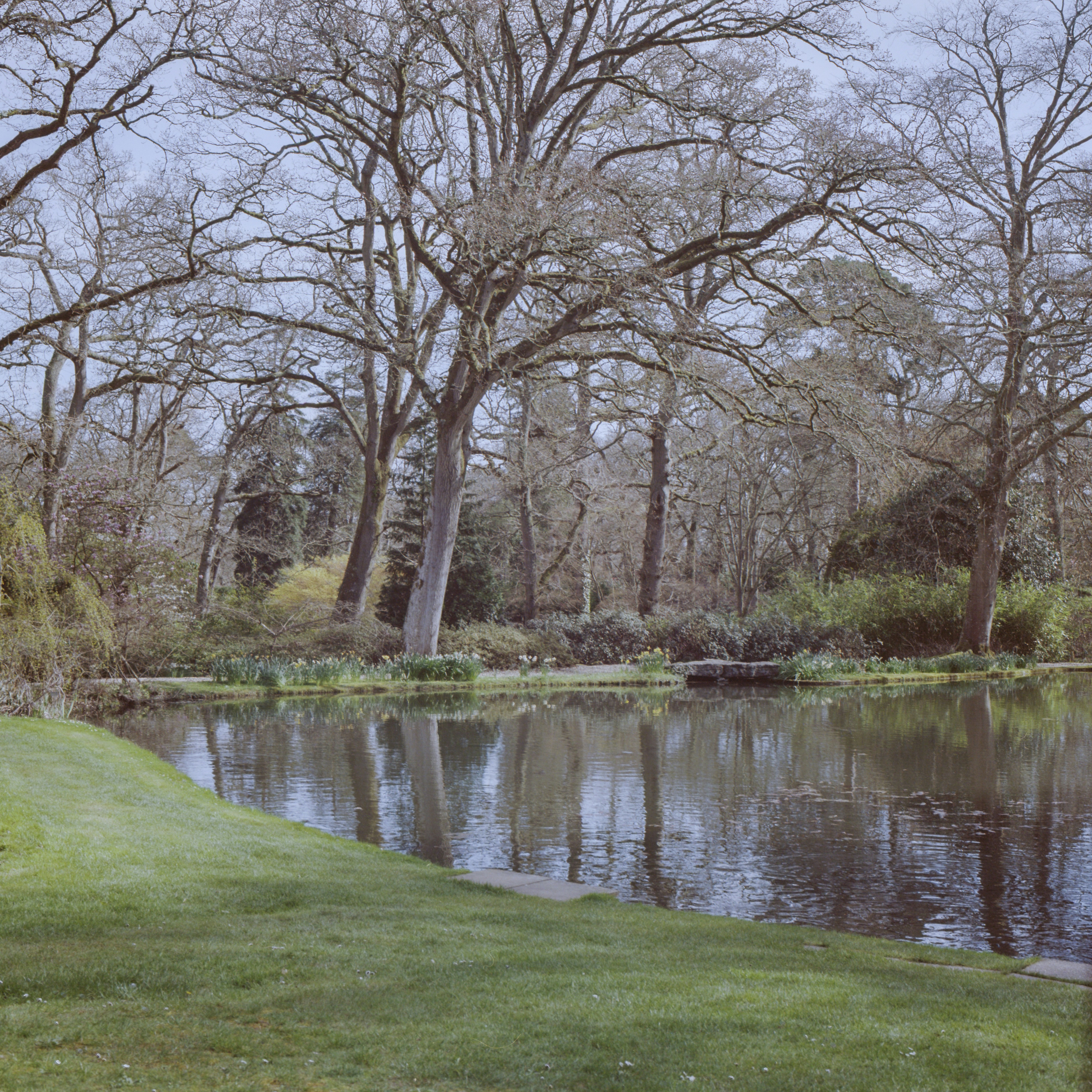 120mm film photo scan