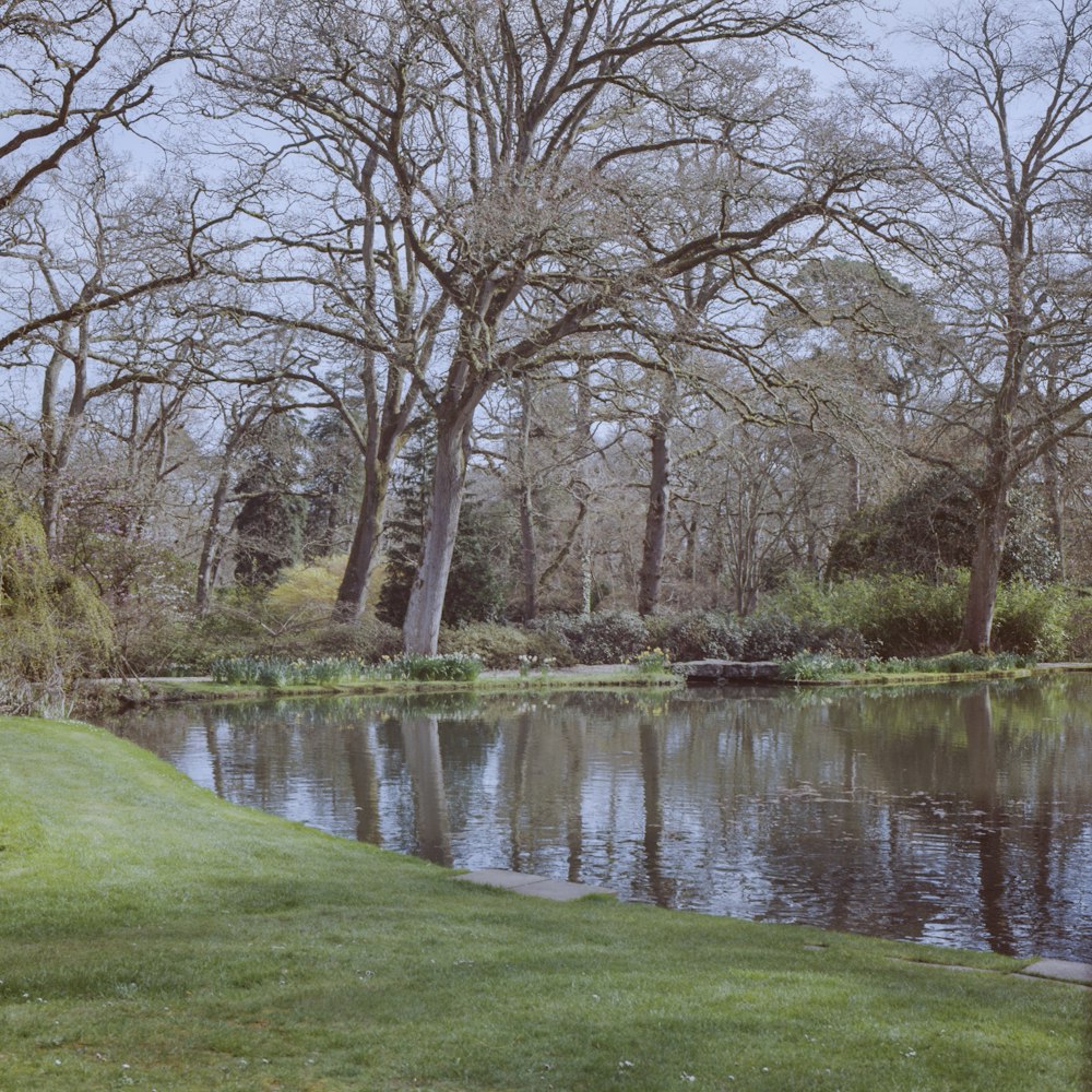 Exbury Gardens