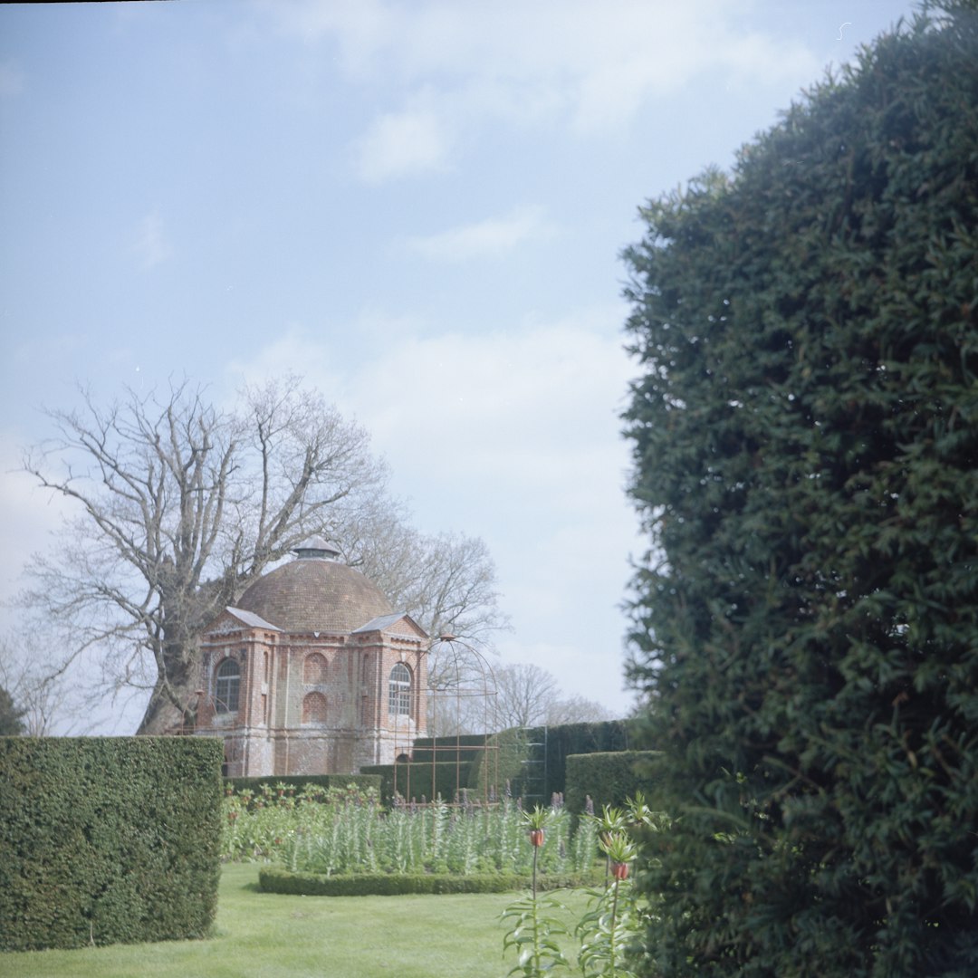 the Vyne, National Trust property