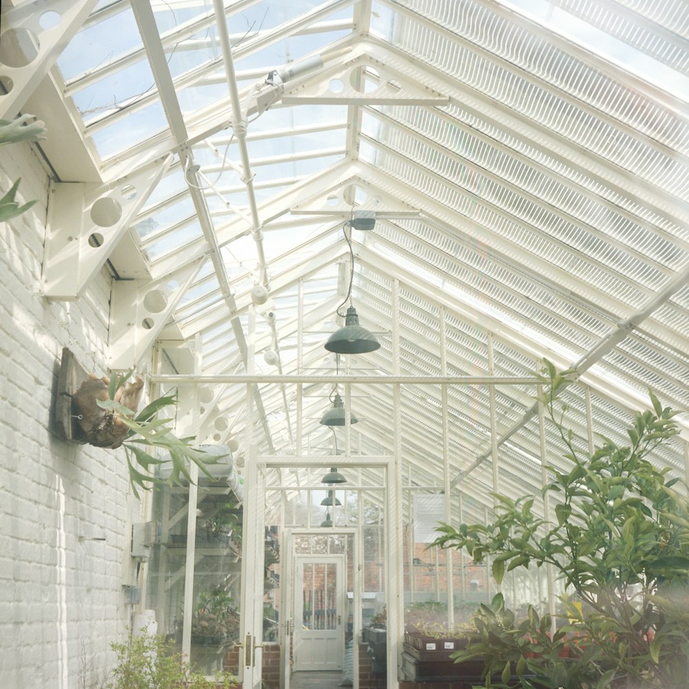 Glasshouse