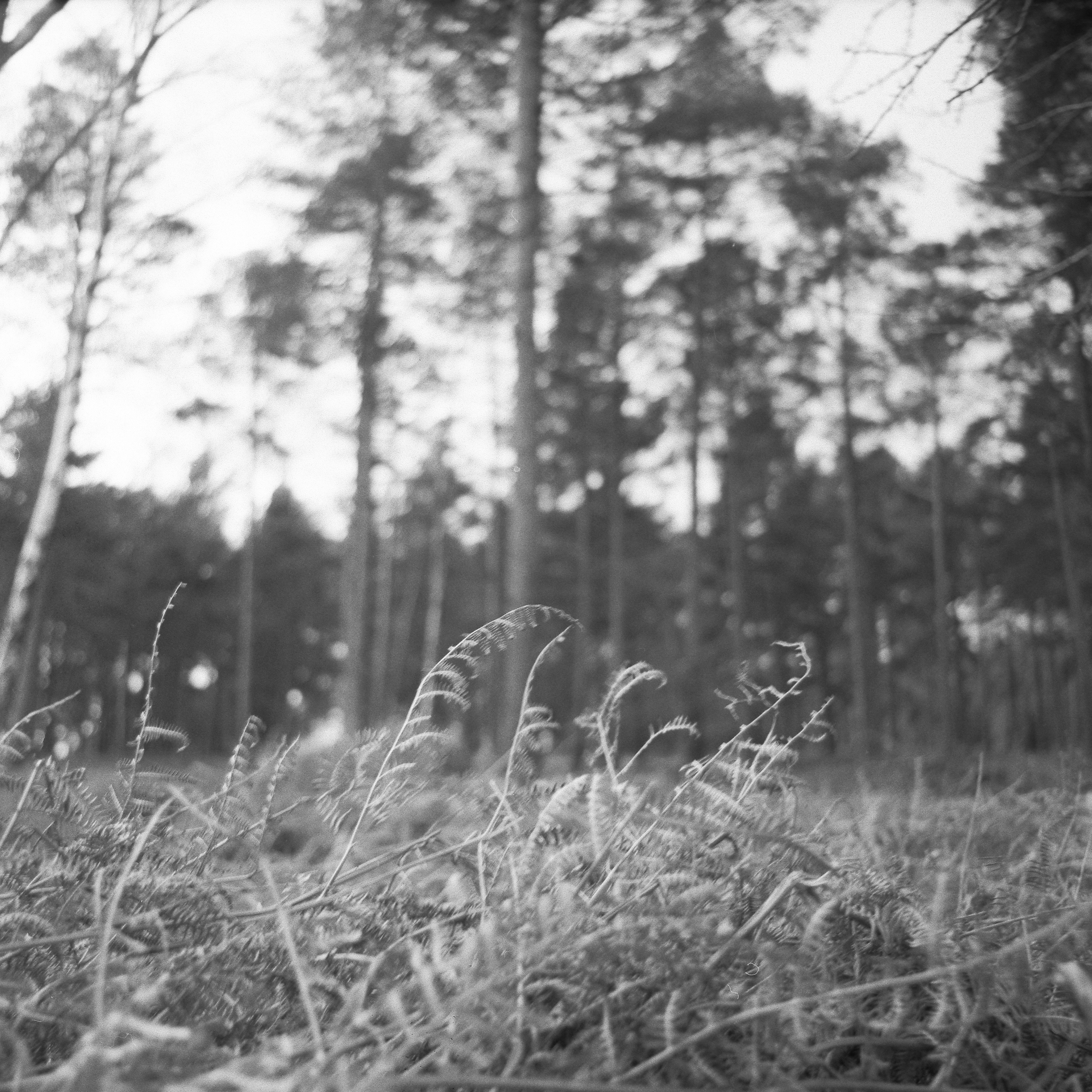 Photo by anniespratt