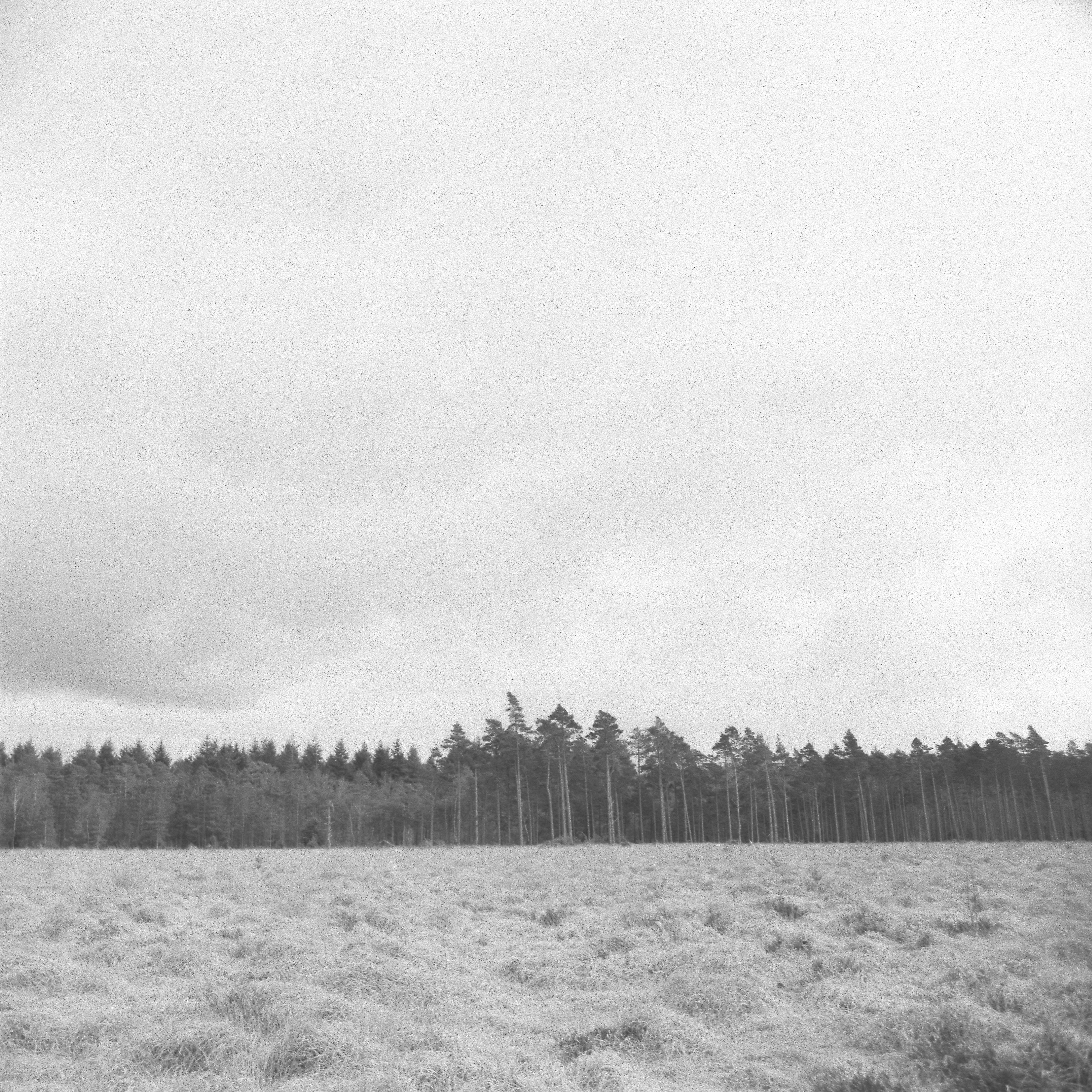 120mm film photo scan