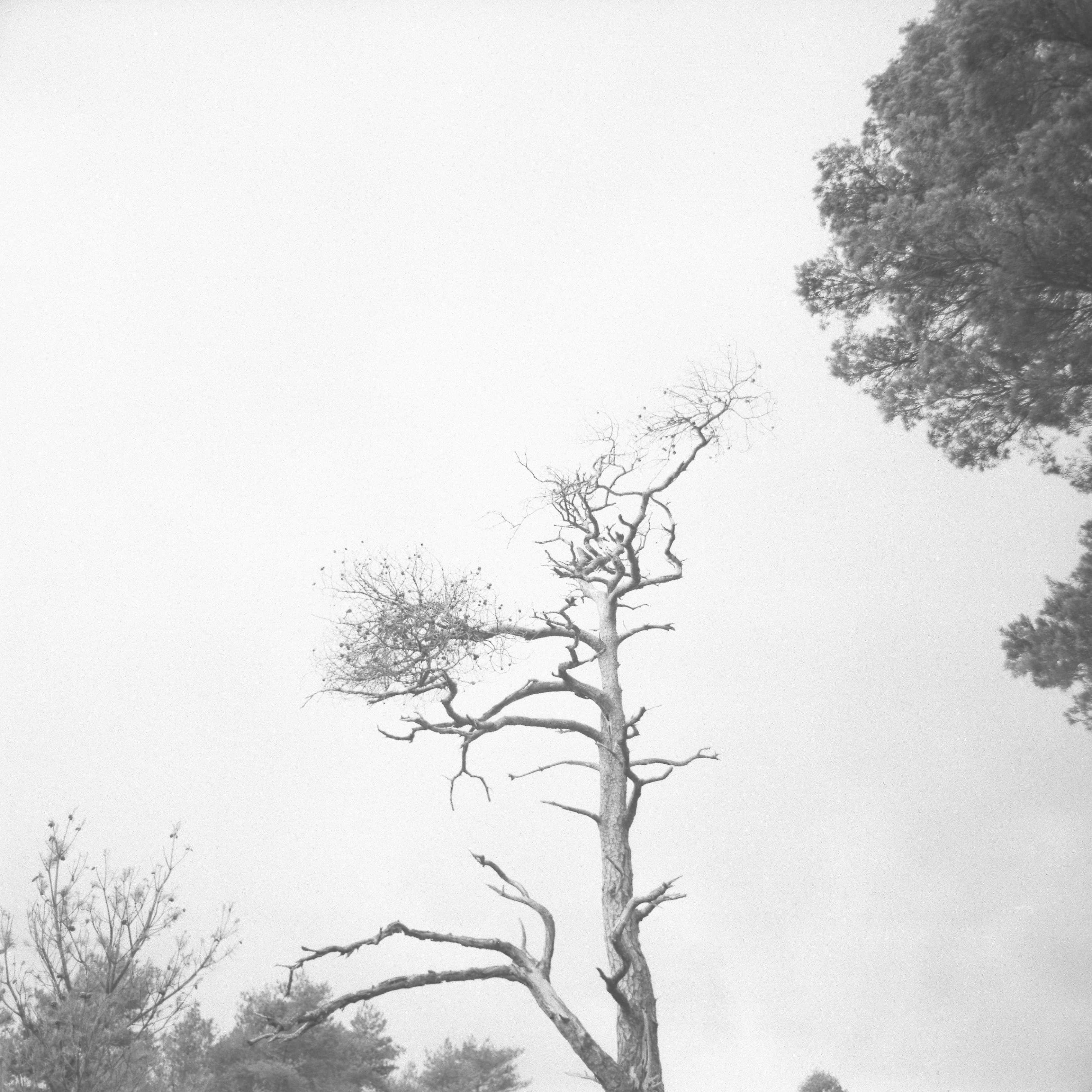 Photo by anniespratt