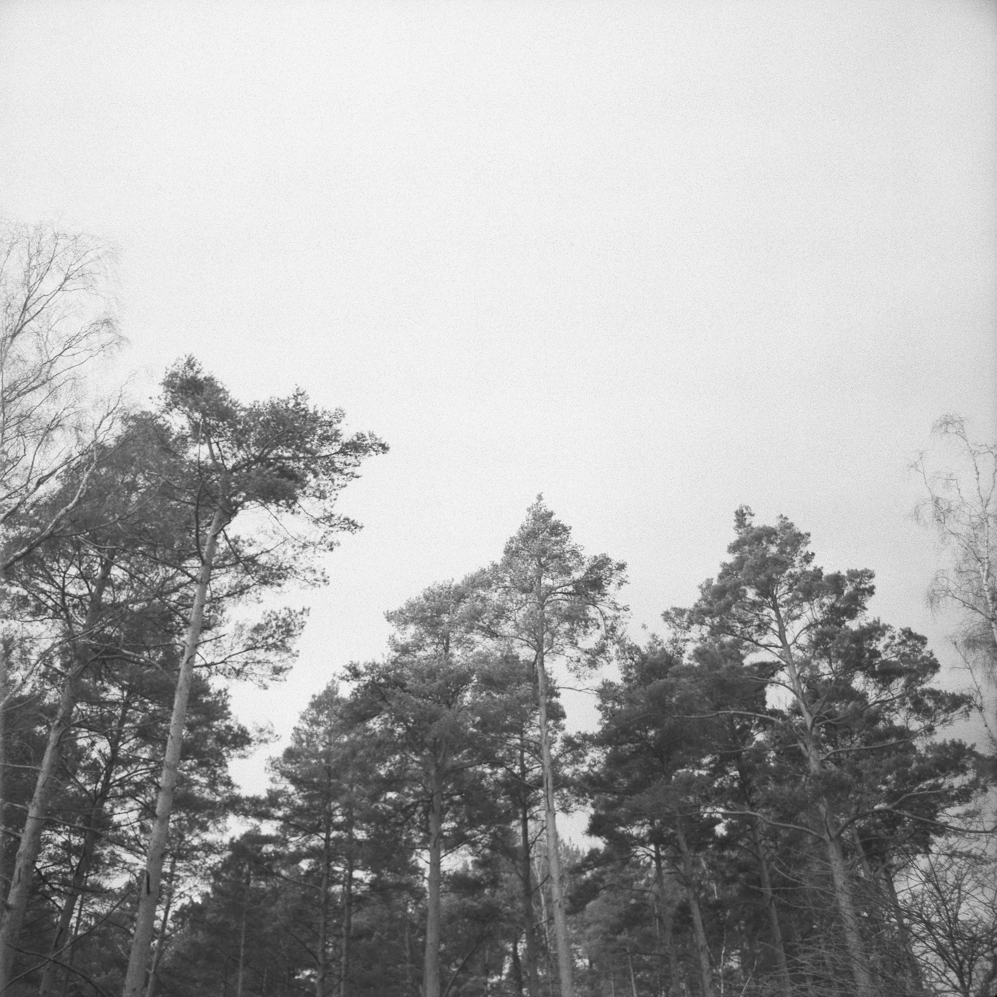 120mm film photo scan