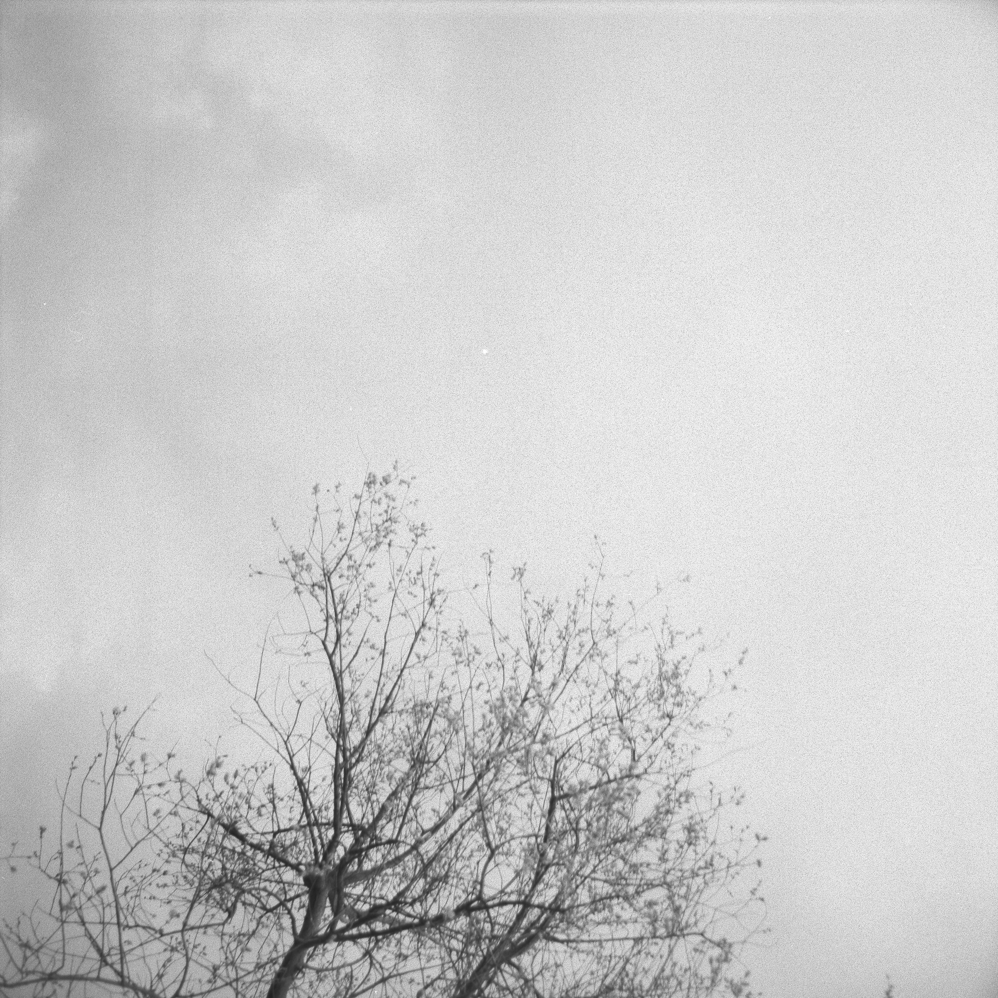 Photo by anniespratt