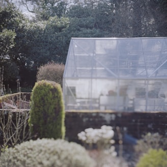 A glass greenhouse stands amidst a well-maintained garden. Tall, lush trees surround the area, providing a backdrop. The greenhouse is transparent, reflecting light and showing faint hints of what might be inside. In the foreground, various greenery, shrubs, and small plants are visible.