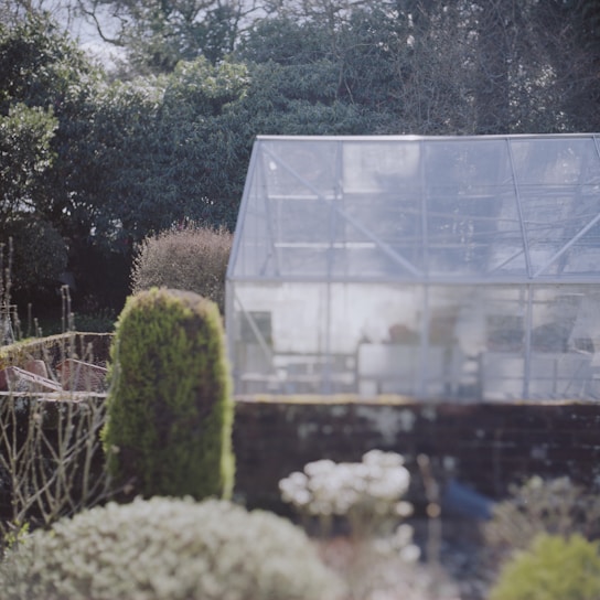 A glass greenhouse stands amidst a well-maintained garden. Tall, lush trees surround the area, providing a backdrop. The greenhouse is transparent, reflecting light and showing faint hints of what might be inside. In the foreground, various greenery, shrubs, and small plants are visible.