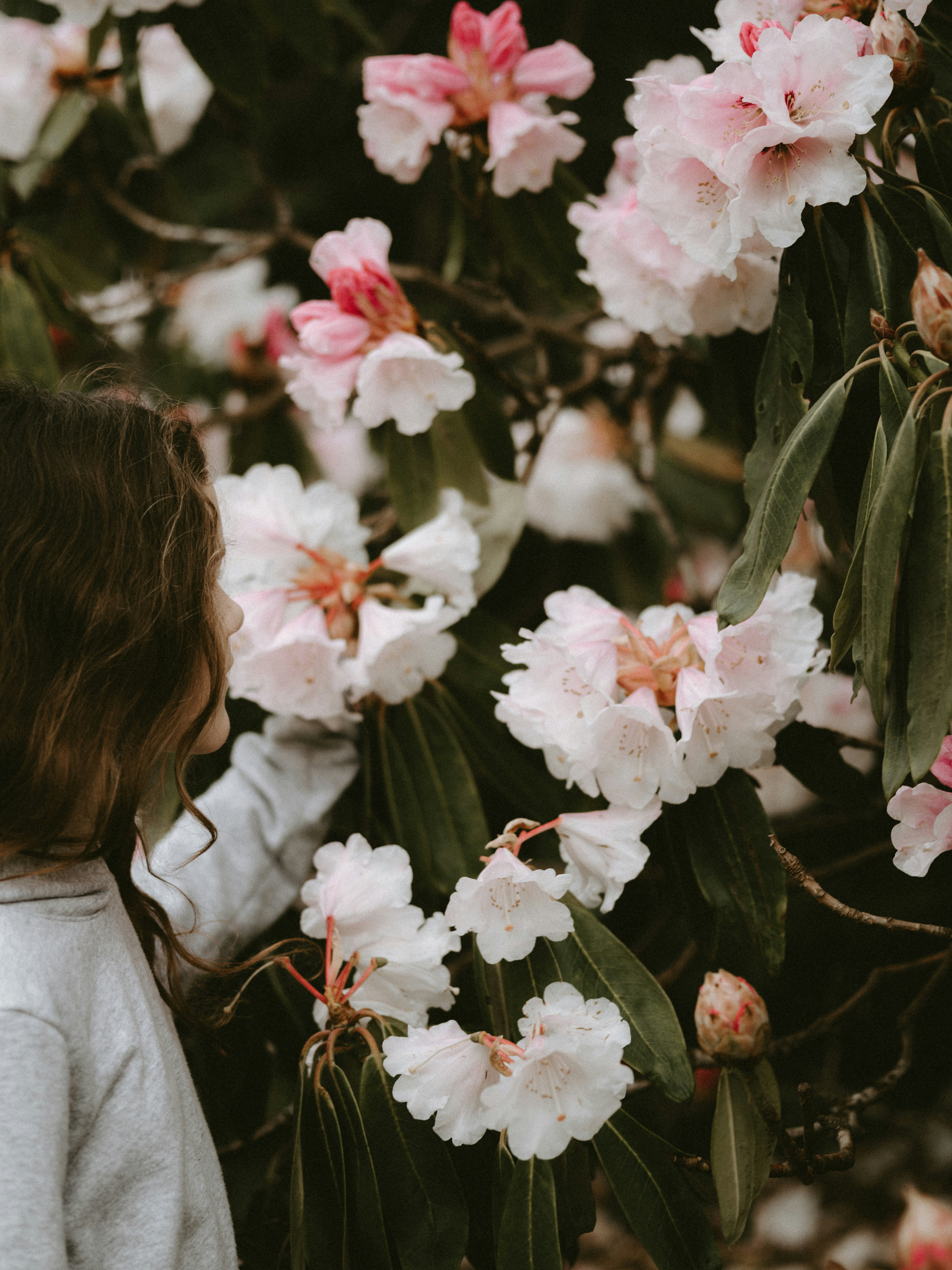 Photo by anniespratt